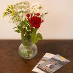 Διαμέρισμα Promegggut