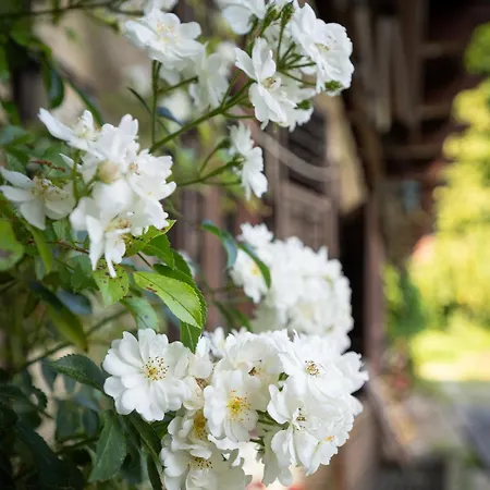 Apartman Promegggut Saint Wolfgang