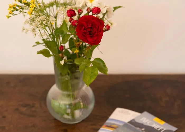 Appartement Promegggut