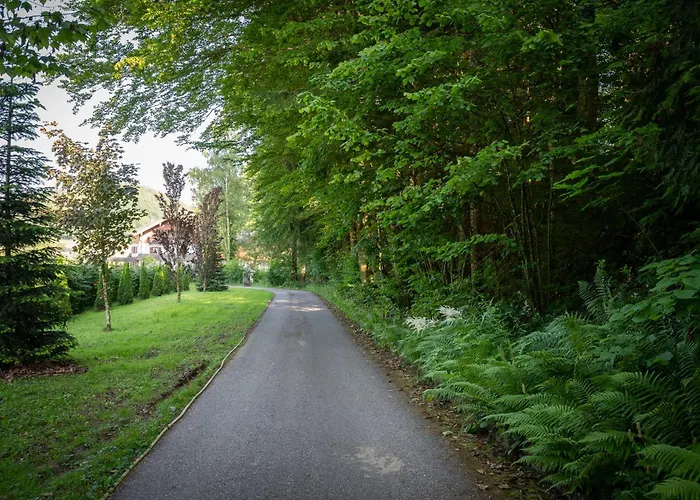 Promegggut Saint Wolfgang