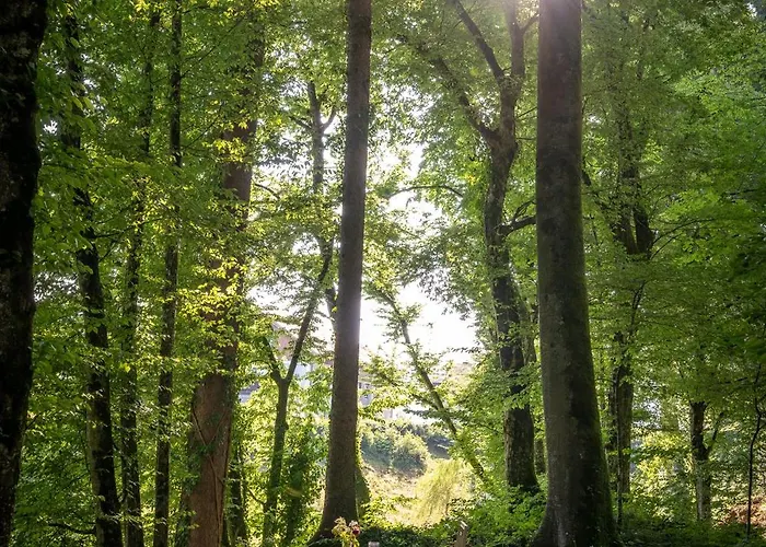 Appartement Promegggut