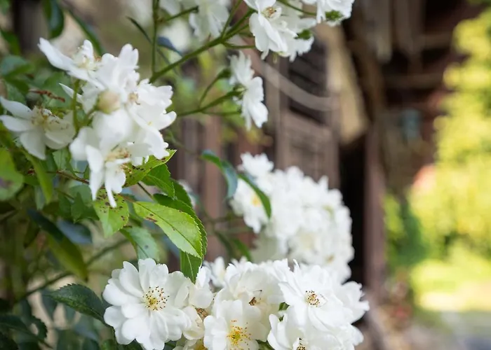 Apartmán Promegggut Saint Wolfgang